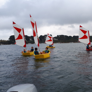 Activité voile