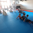 activité Judo au dojo de Baden